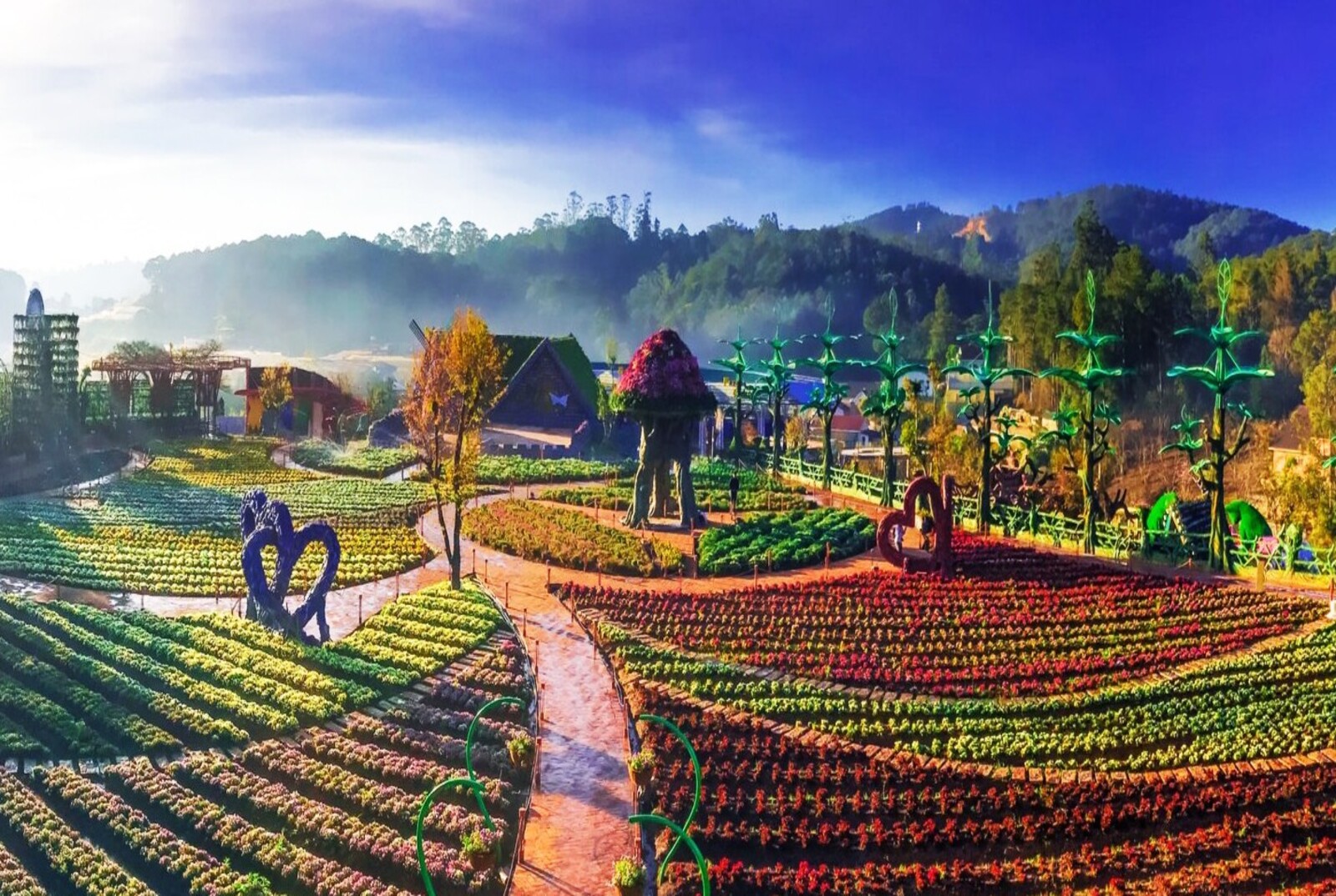 Private Car Transfer: Mui Ne ↔ Da Lat 3